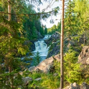 Семейная Карелия на выходные. Комфортный тур с посещением горного парка Рускеала (5+) поход, изображение 4