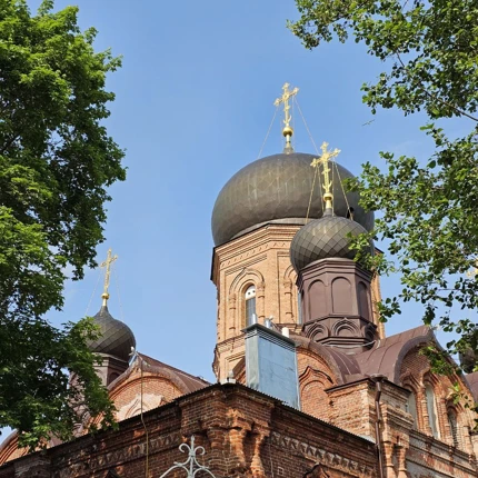 Юлия Фирсова