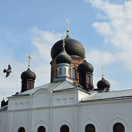 Анна Знаменская