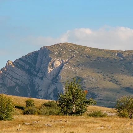 Поход в Крым