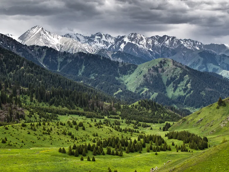 Жайлау Казахстана