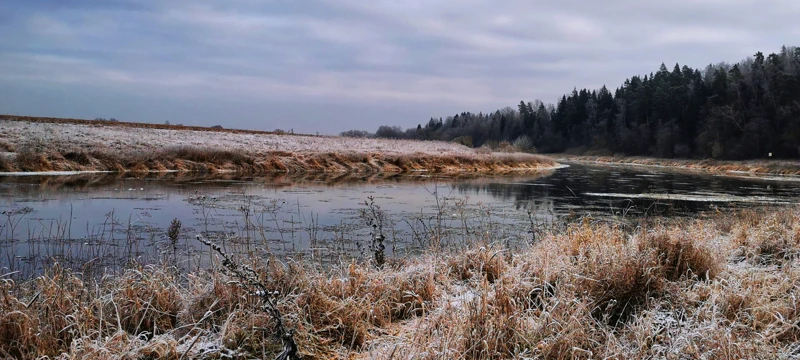 Звенигородский заказник и карьер Сима. Однодневный поход в Подмосковье поход