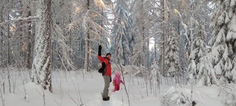 Семейный выезд в зимнее Орехово (0+) поход
