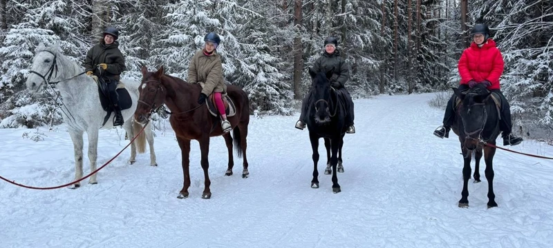 Прогулка и катание на лошадях по зимнему лесу. Однодневный выезд из Питера поход
