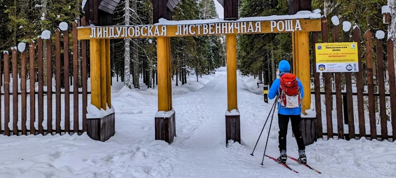Лыжная прогулка по Линдуловской роще. Однодневный выезд из Петербурга поход