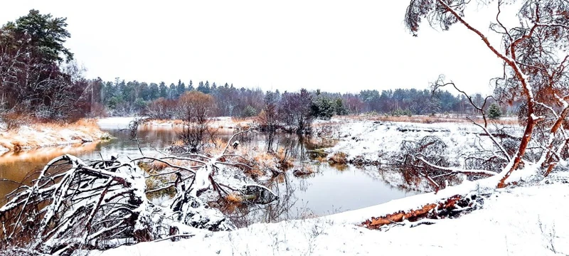 Введенский остров. Однодневный поход в Подмосковье поход