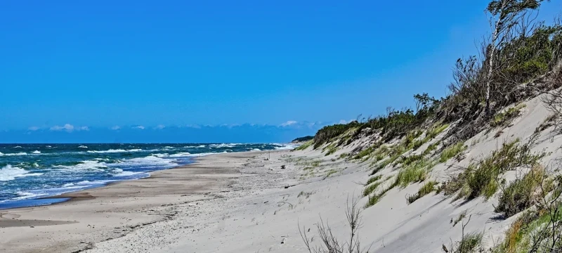 Семейный Калининград: путешествие в янтарный край и загадки средневековья поход