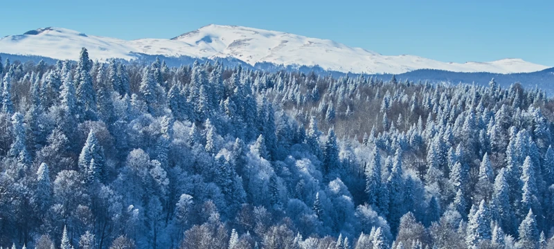 Зимняя Адыгея. Новый год на Кавказе поход