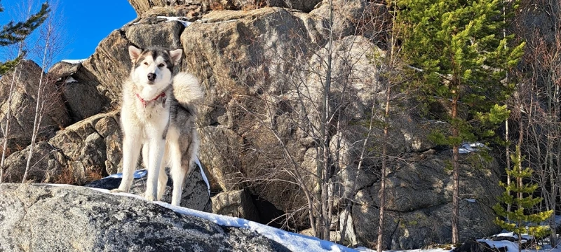 Байкал. Однодневный треккинг к Олхинским скальникам зимой и летом поход