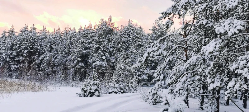 Подмосковная Карелия на снегоступах поход