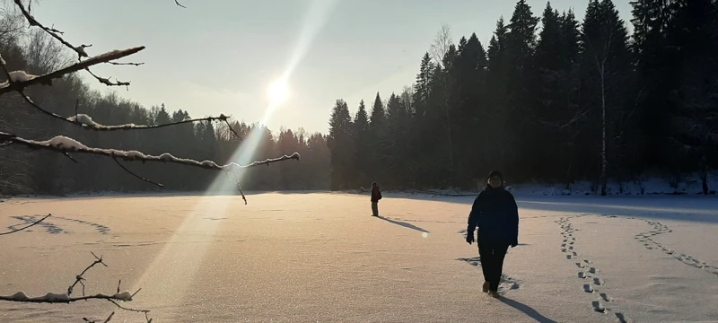 Черниговский лес и замёрзшее Лесное озеро поход