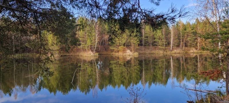 Озёрный край. Пеший поход с палатками в Подмосковье поход