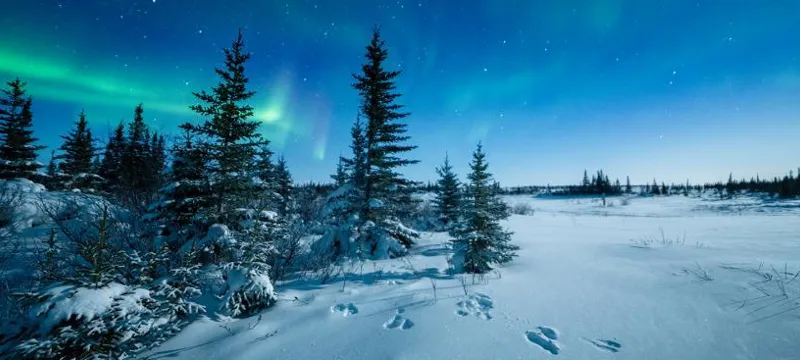 Зимняя Карелия: снегоходы, лыжи, северное сияние поход