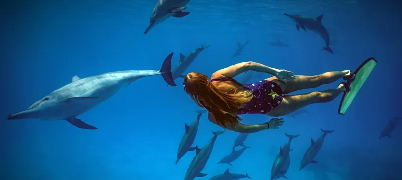 Фридайвинг с дельфинами поход