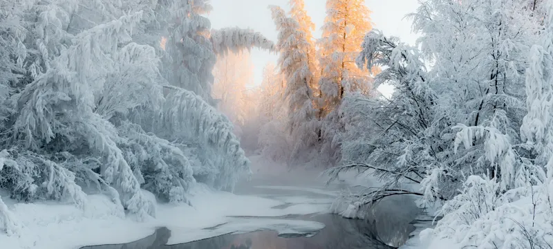 Зимняя Якутия: Оймякон и Ленские столбы поход