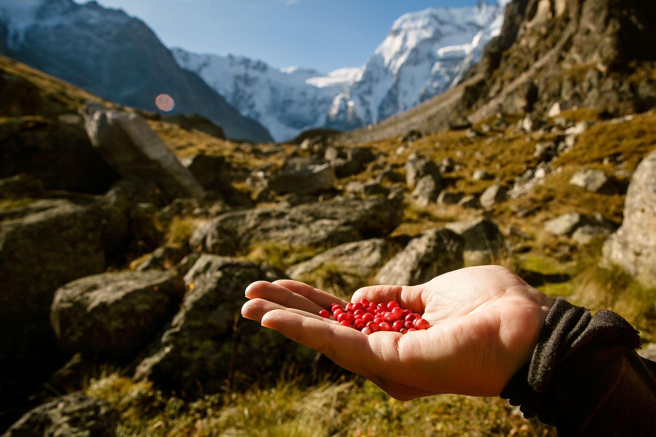 питание в походе еда горный горы восхождение длительный раскладка рацион ягоды фрукты