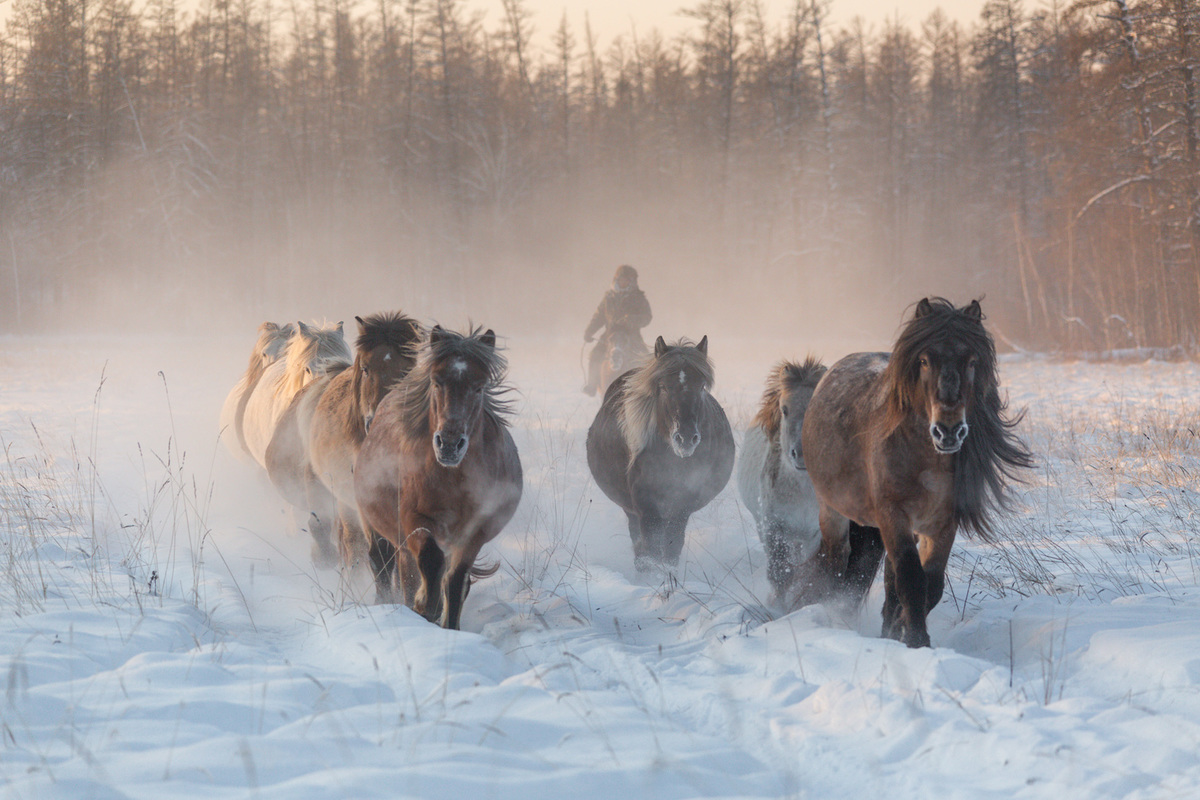 зимний отдых куда поехать зимой в россии поход активно отдохнуть якутия