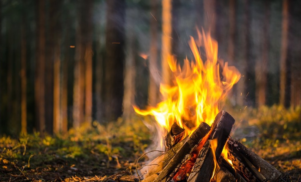 инструкция по выживанию в лесу разводим огонь