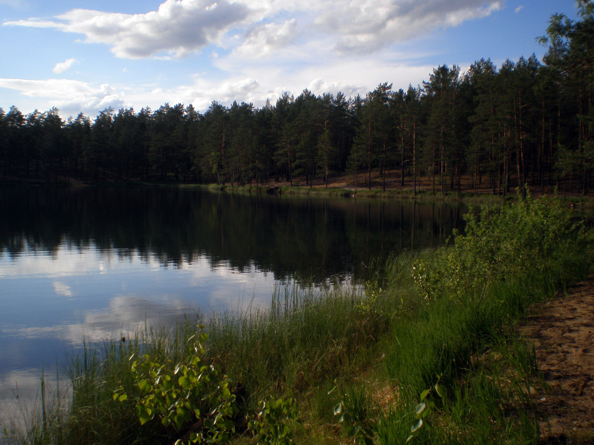 озеро Жуковское псков