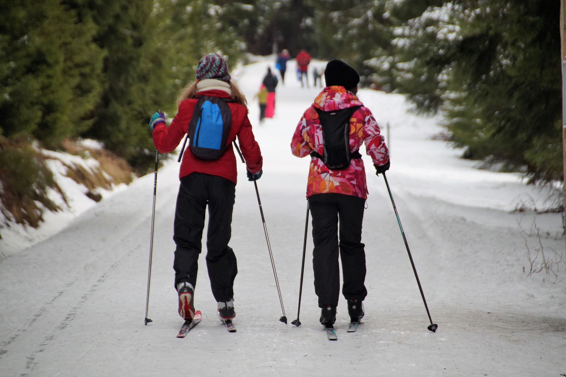 Лыжные прогулки в Ленобласти