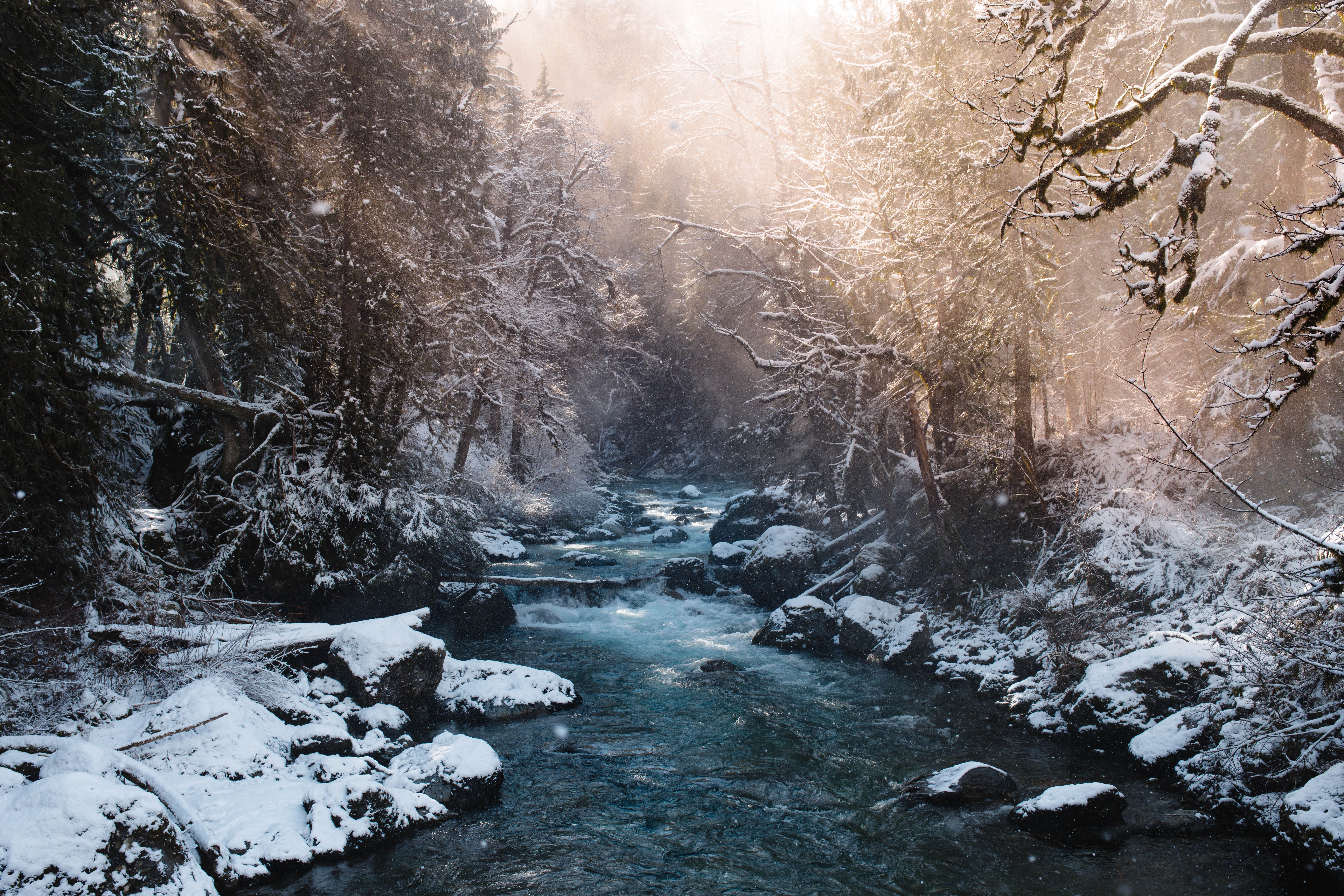 Зима будто. Cold River. Joshua Kyan aalampour. Фон карта река Снежная. Winter Forest Soil.