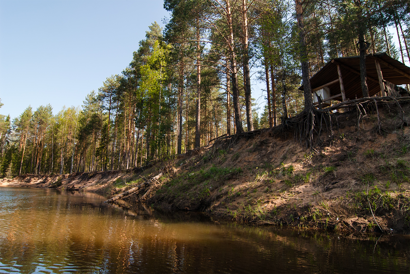 Малой нижегородская область. Река малая Какша Нижегородская область. Ветлуга Марий Эл. Река большая Какша Нижегородская. Устье реки Ветлуга.